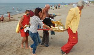 Labrador dostał zawału na plaży. WOPR uratował zwierzę