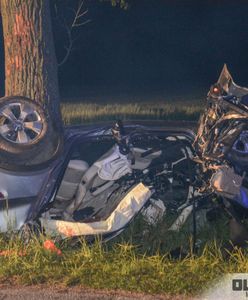 Tragiczne zderzenie auta z sarną. Zginął młody kierowca