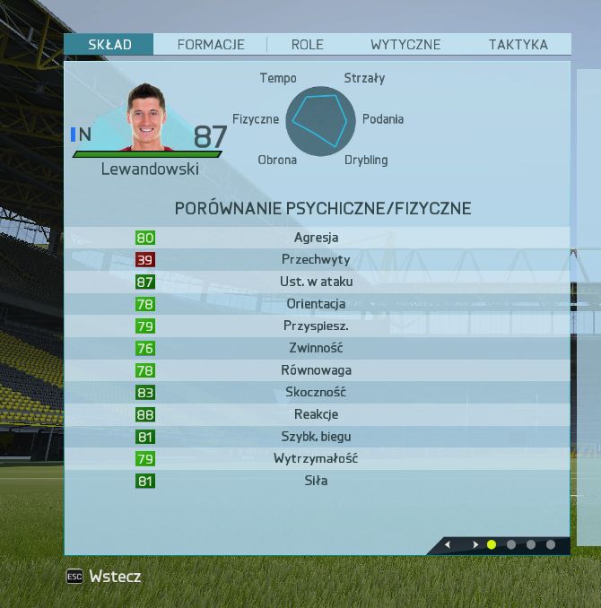 Obraz