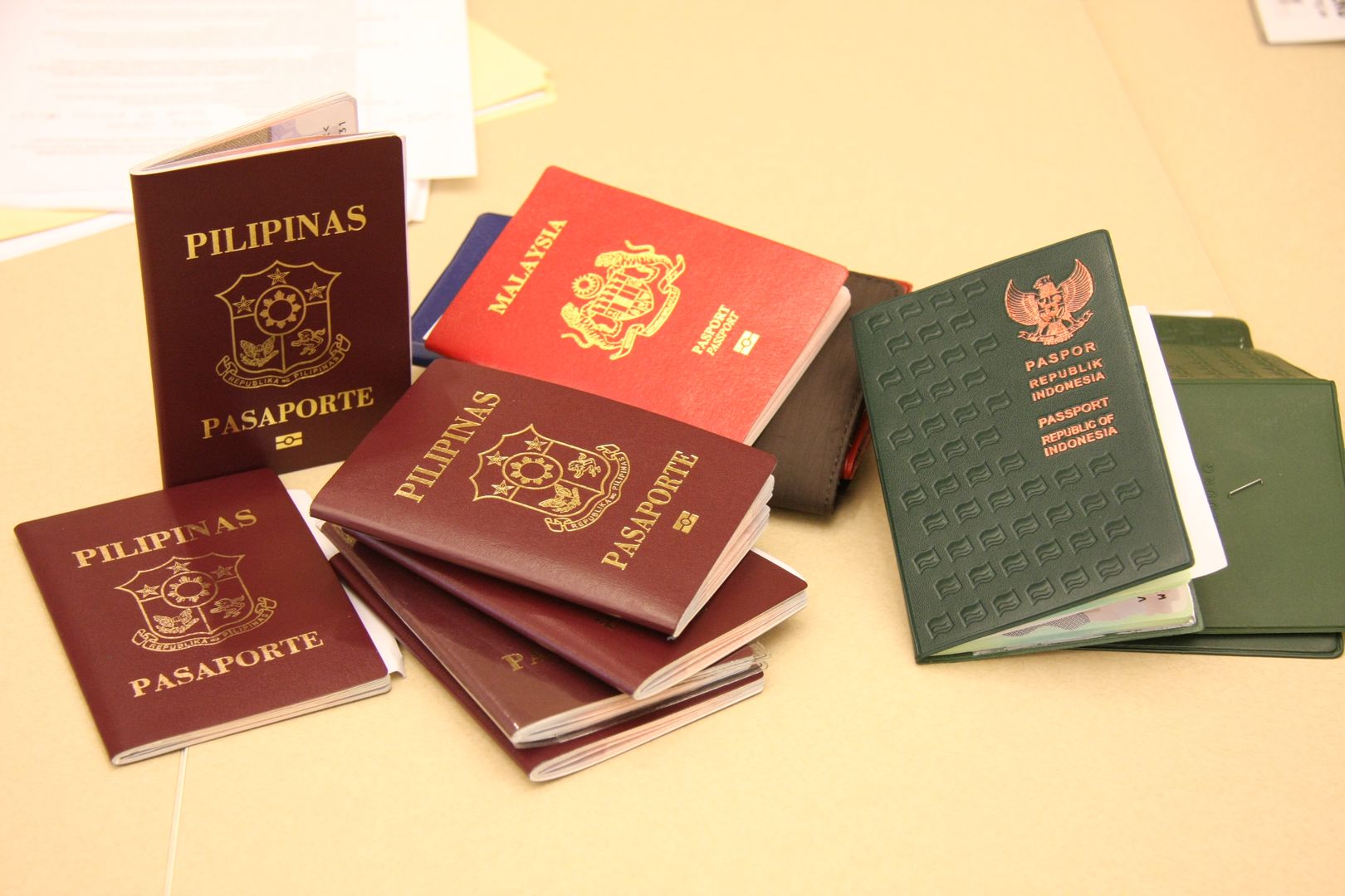 Kolor paszportu wcale nie jest przypadkowy