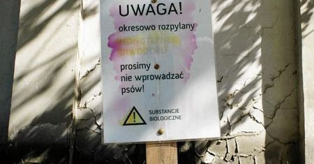 Poznaniaków straszy monotlenek diwodoru