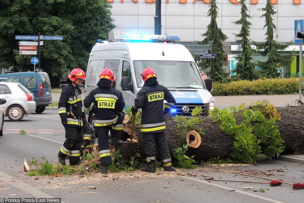 15 tys. odbiorców bez prądu. Poważne skutki silnych wichur nad Polską