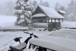 Co się dzieje z tą pogodą? Pierwsze grzybobranie… w maju, w górach śnieg