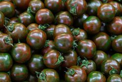 Kumato – najsłodszy z pomidorów. Niezastąpiony do sałatek