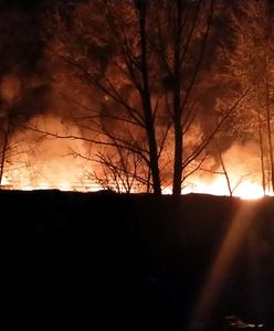 Piętnaście zastępów straży walczy z pożarem w Żorach. Kłęby czarnego dymu nad miastem