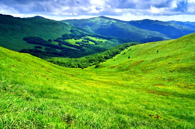 bieszczady, karpaty, góry 