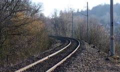 Wypadek koło Nowogardu. Na pociąg spadło drzewo