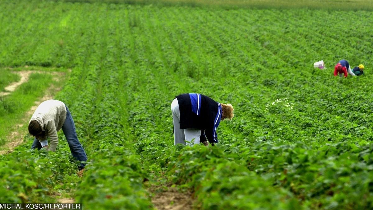 Ukraińcy chcą więcej zarabiać.