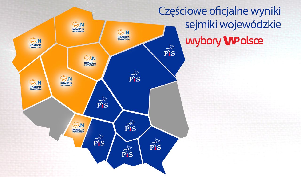 Oficjalne wyniki wyborów. Coraz więcej danych