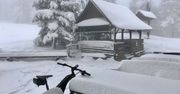 Co się dzieje z tą pogodą? Pierwsze grzybobranie… w maju, w górach śnieg