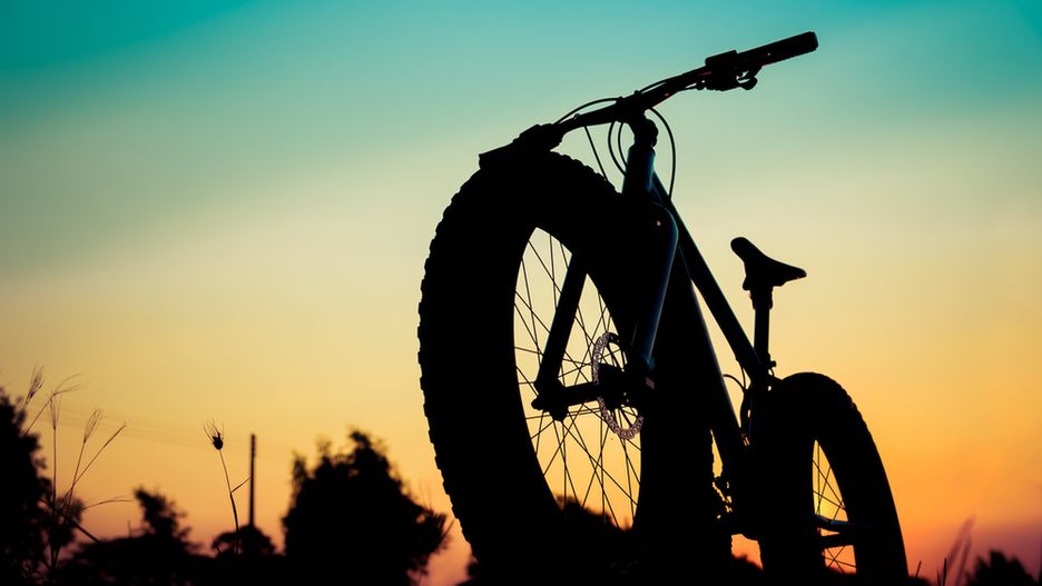 Fatbike czyli rower terenowy