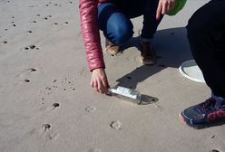 Niezwykłe znalezisko na plaży w Rowach