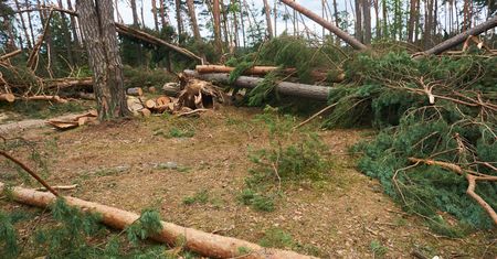 Śmierć harcerek w Suszku. Zastępca komendanta obozu usłyszał zarzuty