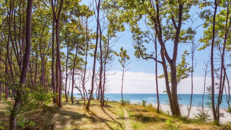 Pogoda nad morzem rozczaruje w środę, a w czwartek zauroczy pięknym słońcem.