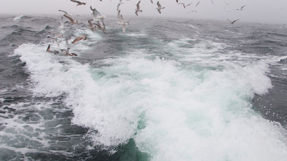 Pogoda nad morzem zaskoczy silnymi podmuchami wiatru. Na wodzie panować będzie sztorm, którego siła może osiągnąć aż 10 st. B.