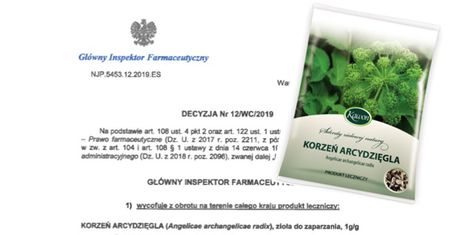 GIF nakazał wycofanie preparatów z arcydzięgla. Zioła mogły zostać sfałszowane