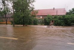 Po 21 latach od powodzi odkryto tożsamość ofiary. Zagadka z okolic Jeleniej Góry rozwiązana