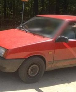 Podejrzani o pobicie operatora w Puszczy Białowieskiej pójdą do aresztu