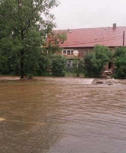 Po 21 latach od powodzi odkryto tożsamość ofiary. Zagadka z okolic Jeleniej Góry rozwiązana