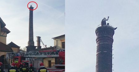 Siedział na kominie i rzucał cegłami w policjantów. Zatrzymanie mężczyzny przypomniało scenę z filmu