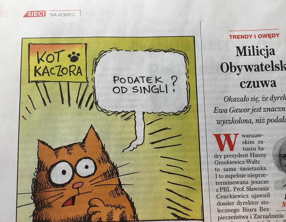Tygodnik "Sieci" kpi z Jarosława Kaczyńskiego i jego kota. Chodzi o podatek od singli