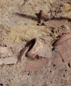 Sensacja na Podkarpaciu. Znaleziono grecką amforę sprzed 2,5 tys. lat