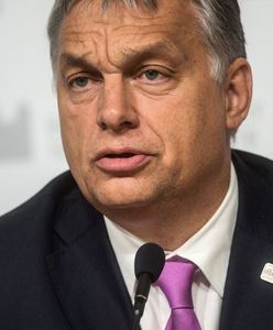 Bierzyński: "Demokracja umiera powoli. Mechanizm jest jednak prosty" (Opinia)