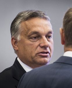 Zmiany w EPL. Wiktor Orban oskarża partię o "skręt w lewo"