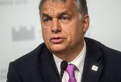 Bierzyński: "Demokracja umiera powoli. Mechanizm jest jednak prosty" (Opinia)