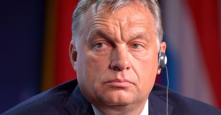 Terlecki: będzie spotkanie Orbana z Kaczyńskim