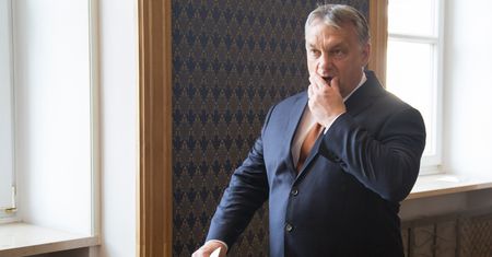 Węgry zawieszają stosunki dyplomatyczne z Holandią. Tego kryzysu z łatwością można było uniknąć