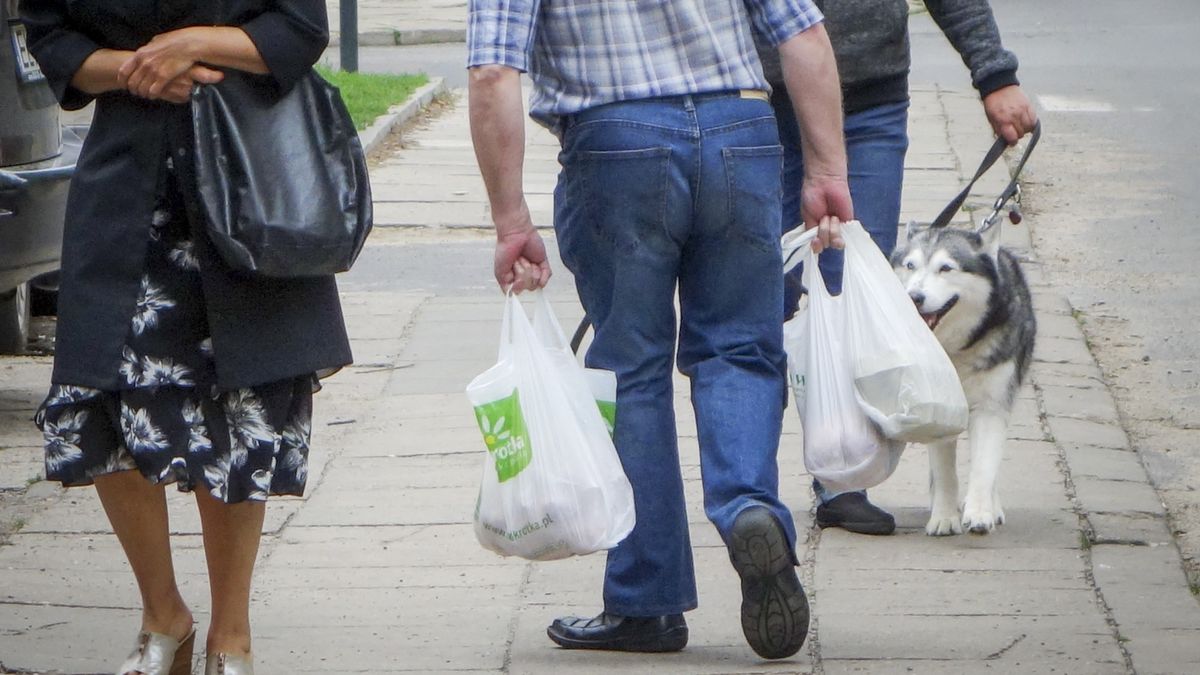 Od 1 września za każdą foliówkę, która nie jest tzw. zrywką, pobierana będzie opłata - 20 groszy + VAT. 