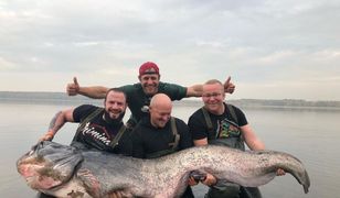 Sum z Zalewu Rybnickiego rekordem Polski. Nagranie z połowu