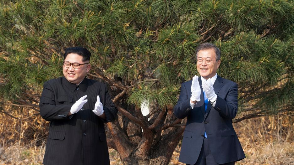 Przywódcy Korei Północnej i Południowej wspólnie zasadzili drzewko 