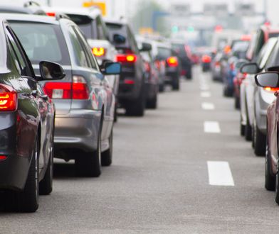 Warlubie. Na autostradzie A1 przewróciła się przyczepa z koniem