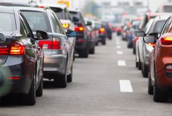 Warlubie. Na autostradzie A1 przewróciła się przyczepa z koniem