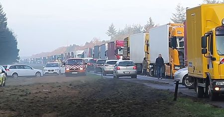 Pijany Polak zablokował autostradę w Holandii. Aresztowali go