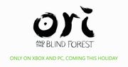 Ori and The Blind Forest umili Wam święta