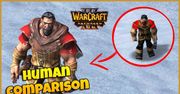 Warcraft III: Reforged. Fan przygotował bezpośrednie porównanie grafiki z oryginałem