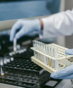 Wrocław: Stolica Dolnego Śląska ma już własne laboratorium do badań nad koronawirusem