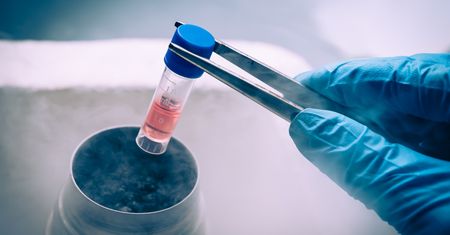 Zaskakujące odkrycie naukowców: wciąż mało wiemy o ludzkim ciele