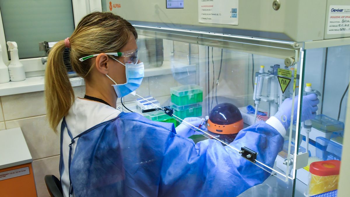 PZ Cormay będzie miał swój udział w walce z koronawirusem.