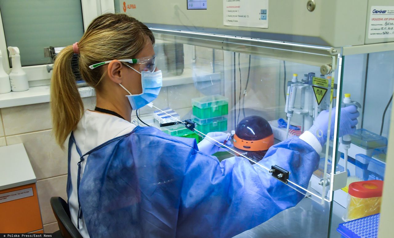 PZ Cormay zgłosił do urzędu testy wykrywające koronawirusa. Akcje spółki wystrzeliły