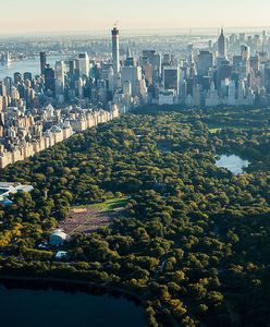 Polski piekarz rusza na podbój Nowego Jorku. Chce mieć 50 lokali