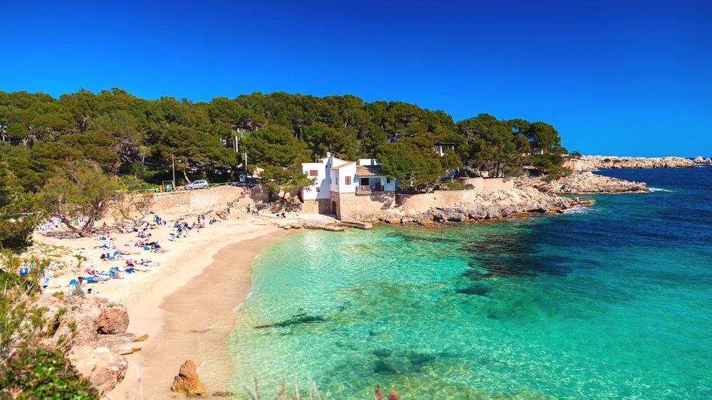 Domyślny opis zdjęcia na stronę główną