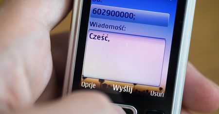 Nastolatek zbierał zdjęcia nagich dzieci. Policja dowiedziała się o tym przez przypadek