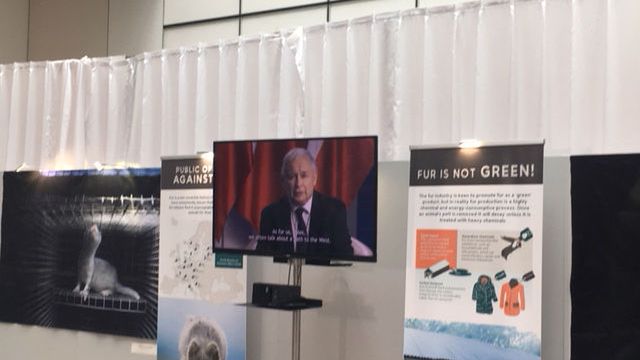 Wystąpienie Jarosława Kaczyńskiego podczas otwarcia wystawy "Niech futra przejdą do historii"