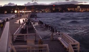 Tajemnicza śmierć w marinie. Znaleziono dryfujące zwłoki