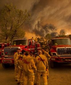 Pożary w Kalifornii. 40 ofiar śmiertelnych