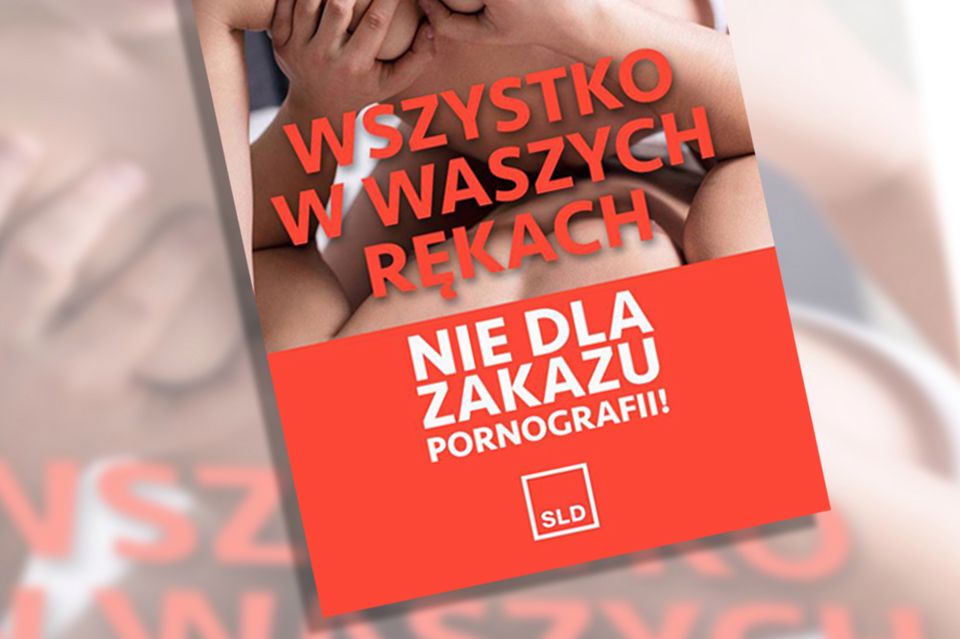 Sojusz Lewicy Demokratycznej walczy z zakazem pornografii. "Lewicowa Viagra dla starych impotentów"